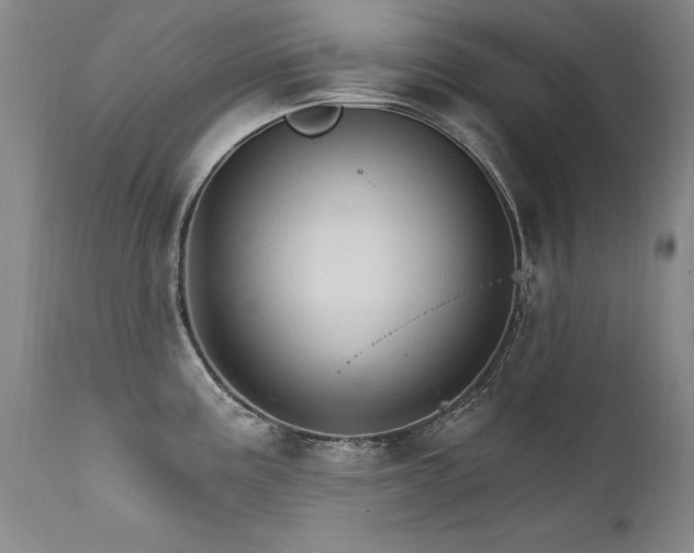 X0000111911195200907271214