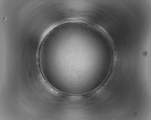 X0000111911196200907271214