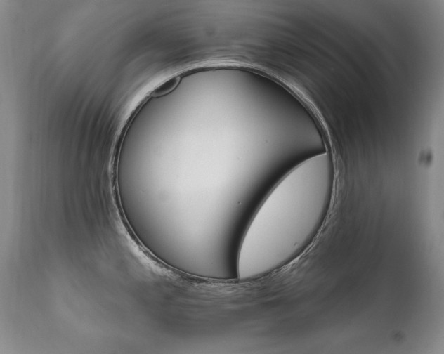 X0000111911197200907271214
