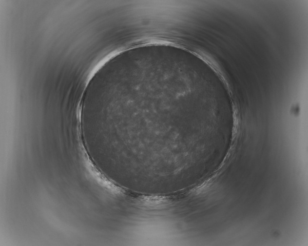 X0000111911198200907271214