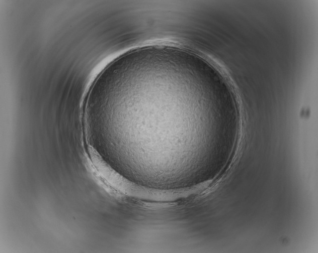 X0000111911200200907271214