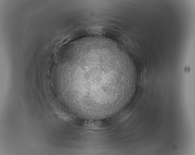 X0000111911201200907271213