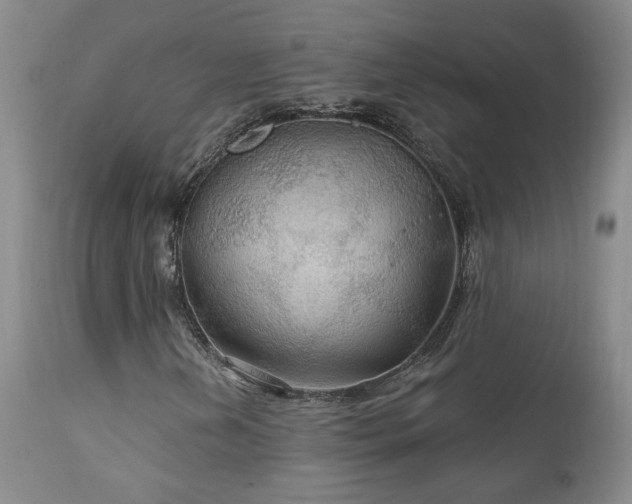 X0000111911202200907271213