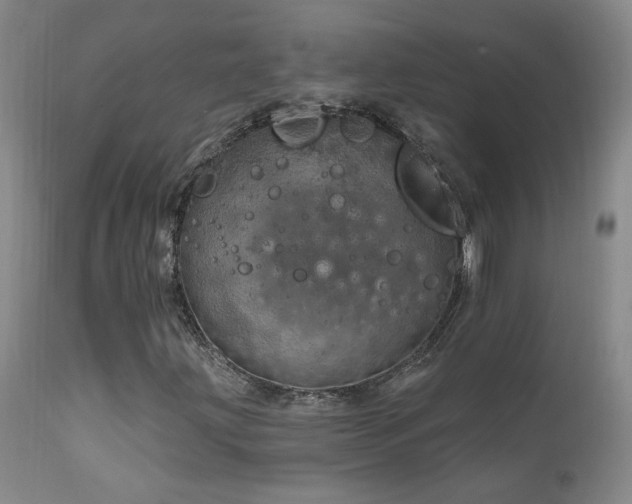 X0000111911203200907271213