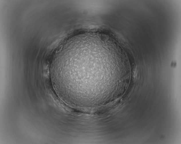 X0000111911204200907271213