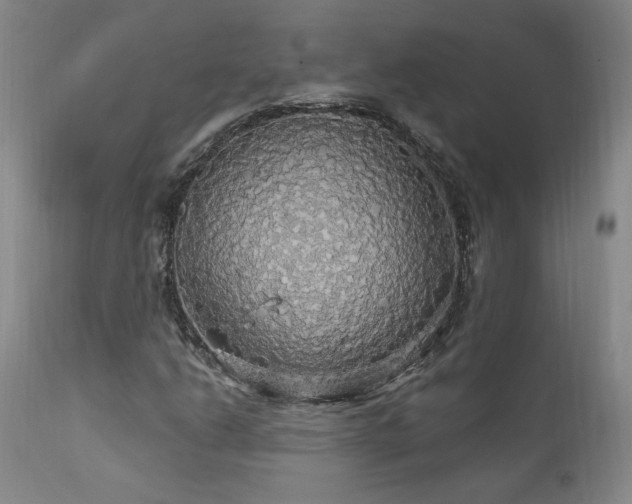 X0000111911206200907271213