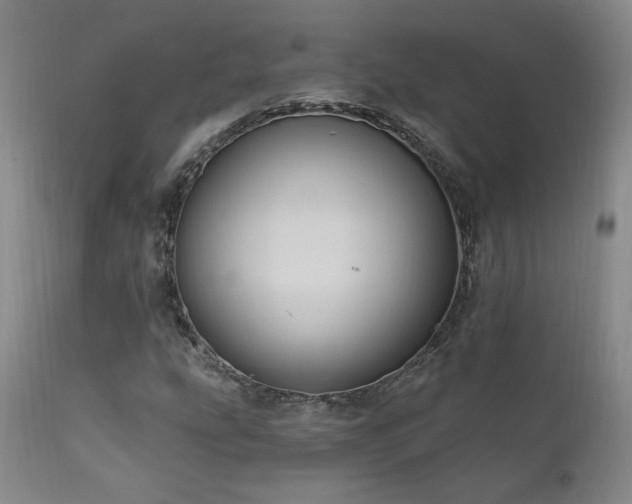 X0000111911207200907271213