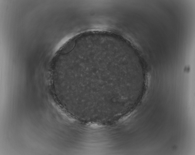 X0000111911208200907271213