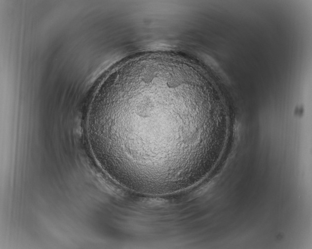 X0000111911209200907271213