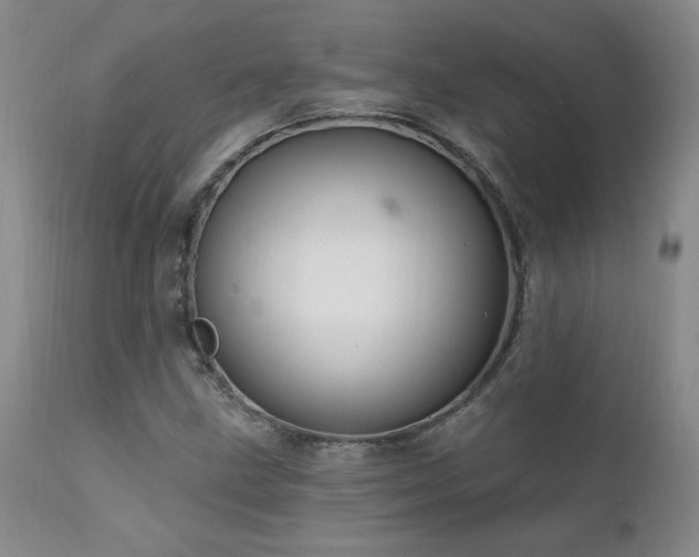 X0000111911211200907271213