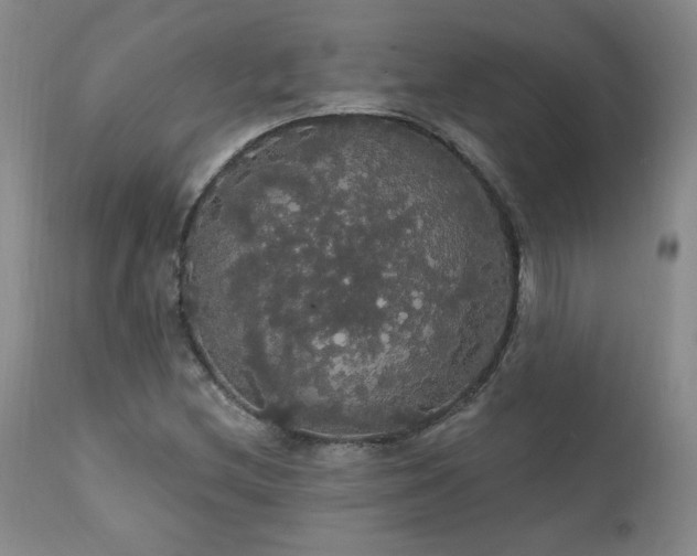 X0000111911212200907271213
