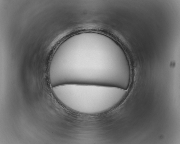 X0000111911213200907271213