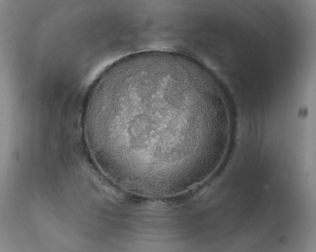 X0000111911214200907271213