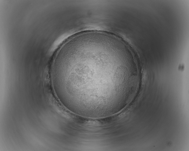 X0000111911215200907271214