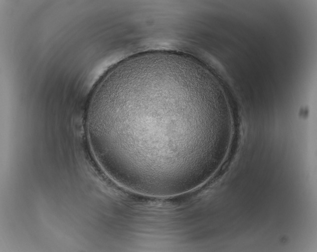 X0000111911218200907271214