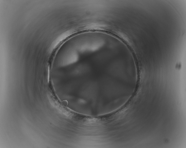 X0000111911219200907271214