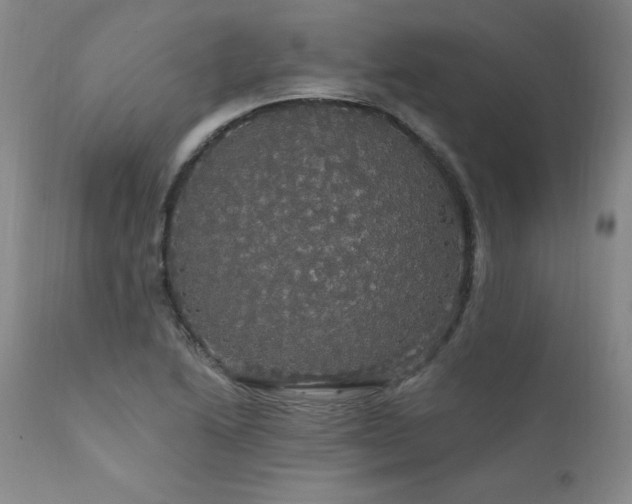 X0000111911222200907271214