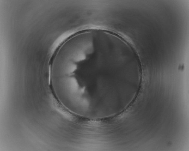 X0000111911223200907271214
