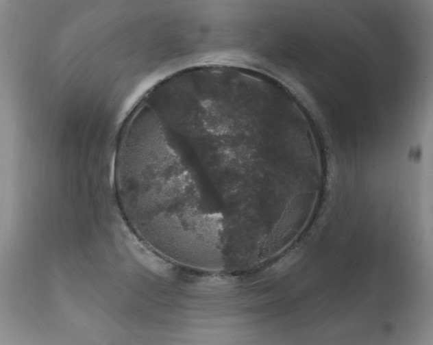 X0000111911224200907271214