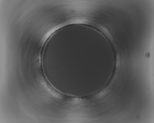 X0000111911226200907271214