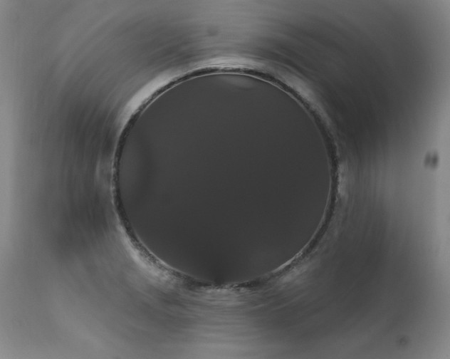 X0000111911229200907271214