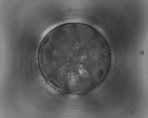 X0000111911230200907271214