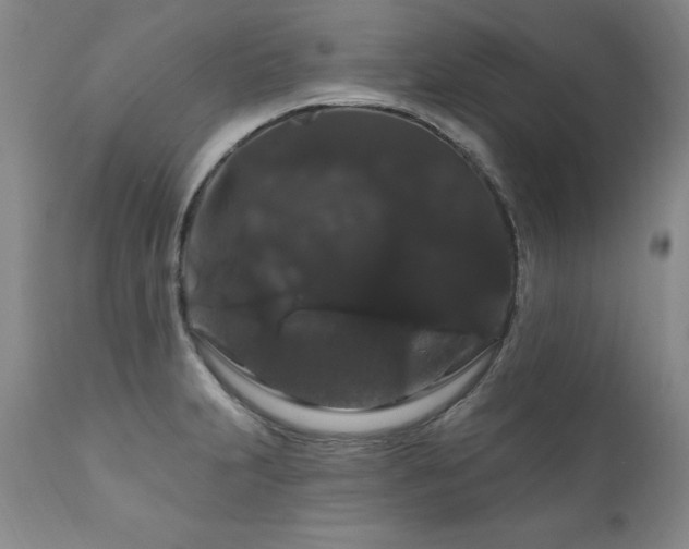 X0000111911231200907271214