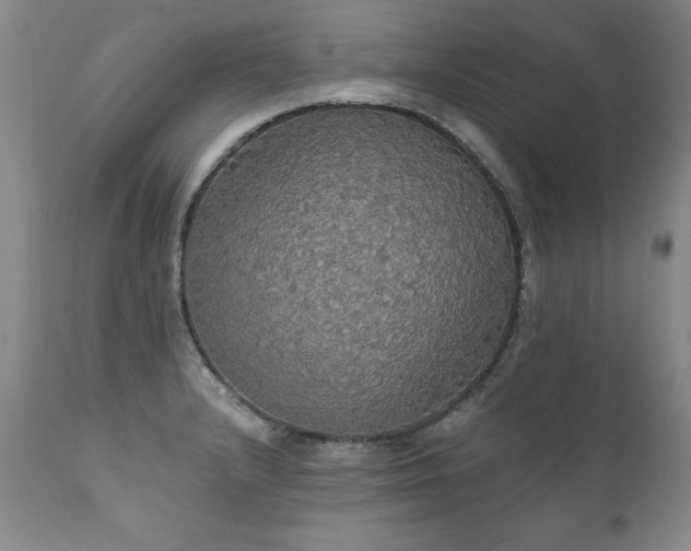 X0000111911232200907271214
