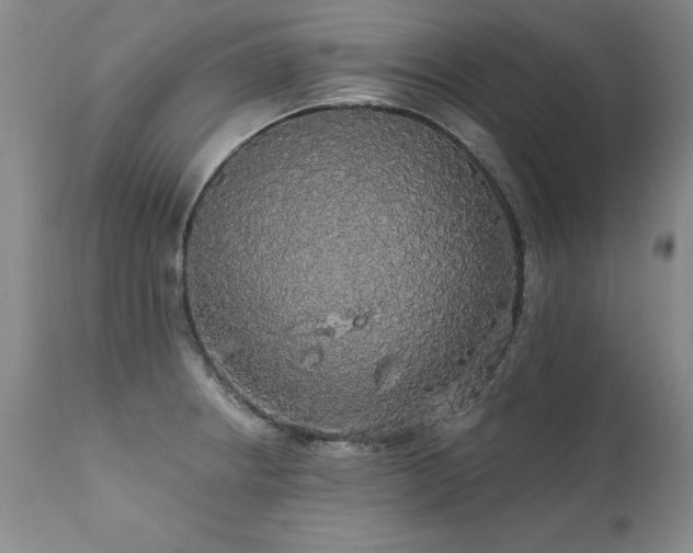 X0000111911234200907271214