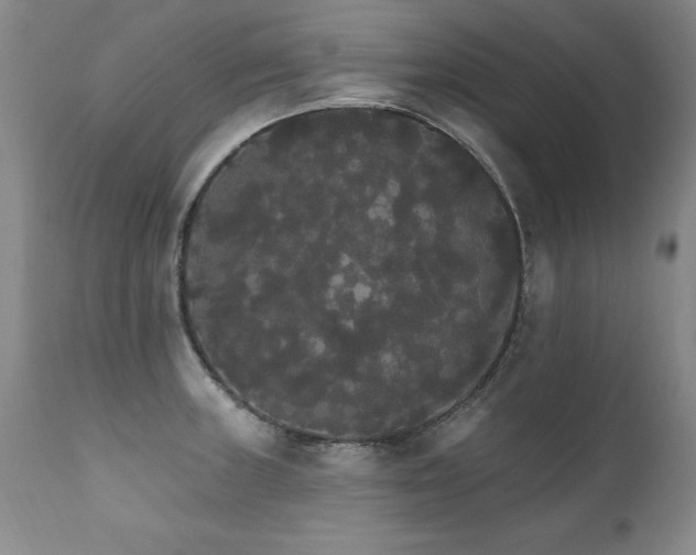 X0000111911235200907271214