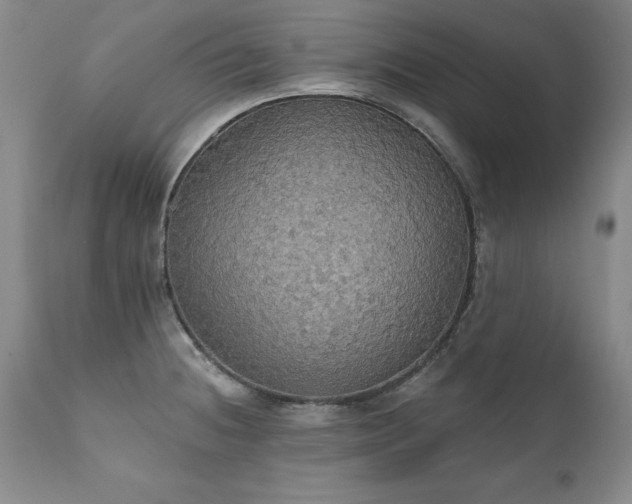 X0000111911236200907271214