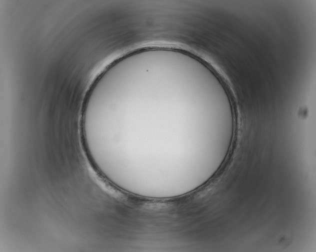 X0000111911237200907271214