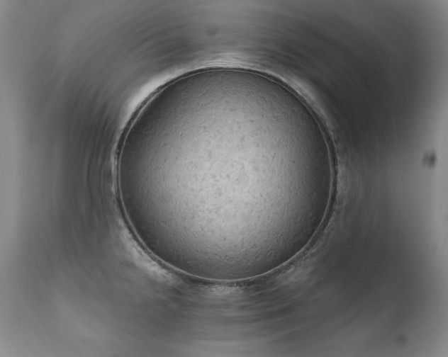 X0000111911238200907271214