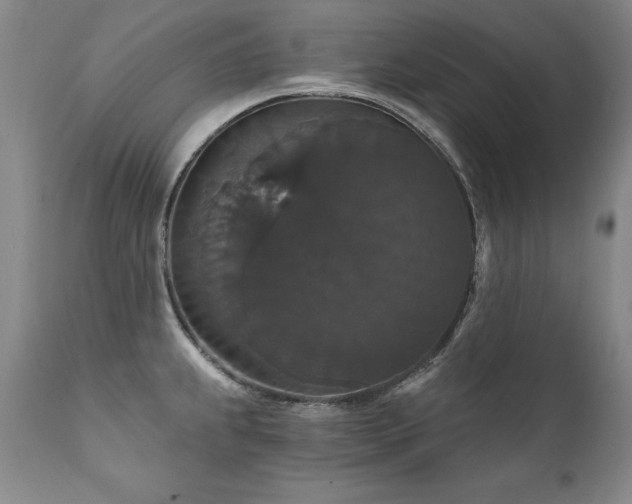 X0000111911239200907271214