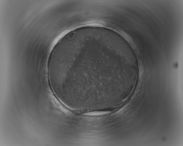 X0000111911240200907271214