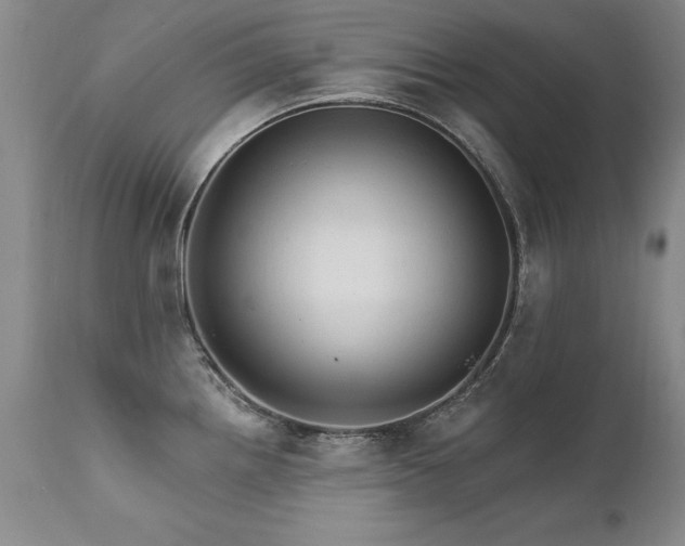 X0000111911242200907271214