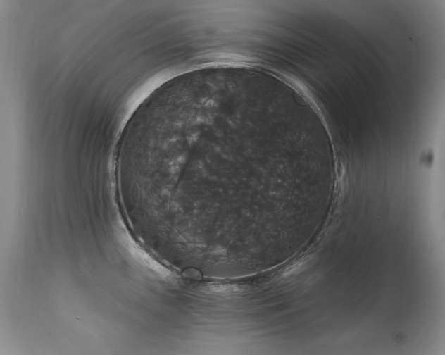 X0000111911243200907271214