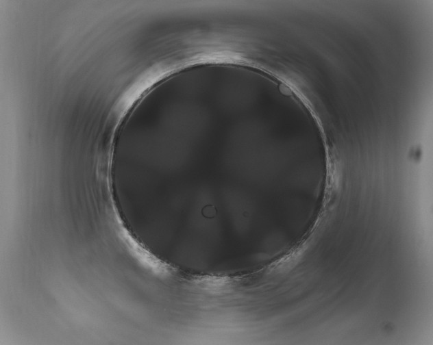 X0000111911245200907271214