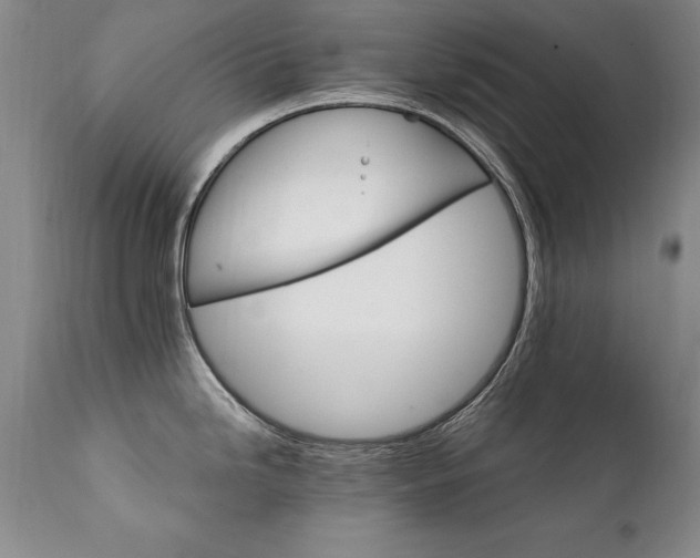 X0000111911246200907271214