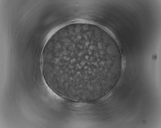 X0000111911247200907271214
