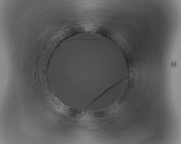 X0000111911249200907271213