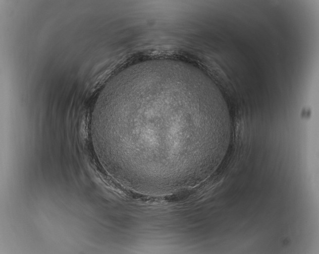 X0000111911250200907271213