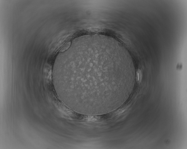 X0000111911251200907271213