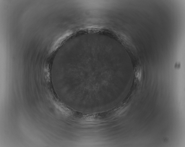X0000111911252200907271213