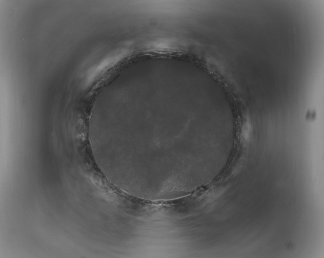 X0000111911253200907271213