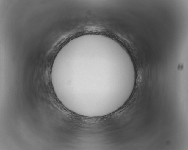 X0000111911254200907271213