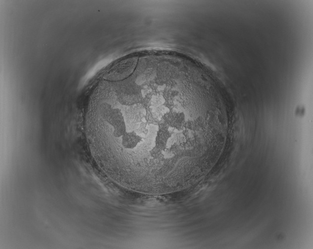 X0000111911255200907271213