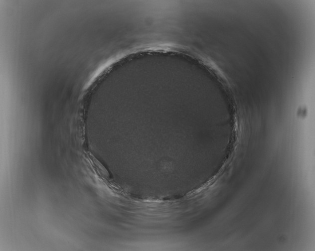 X0000111911256200907271213
