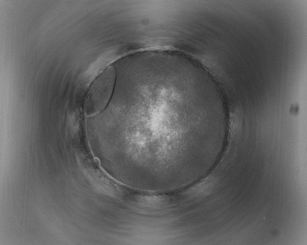 X0000111911257200907271213