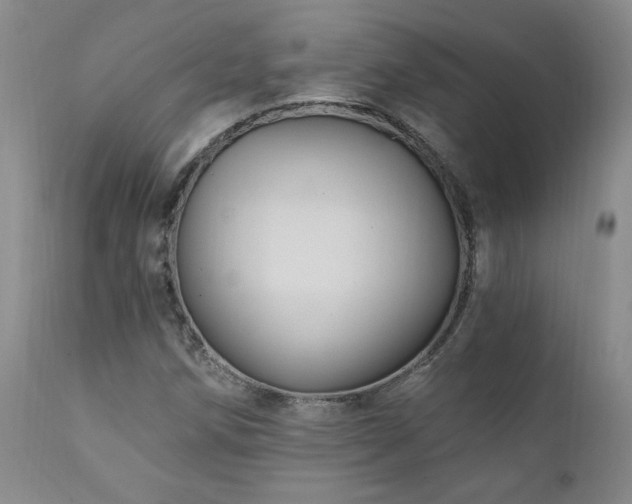 X0000111911258200907271213